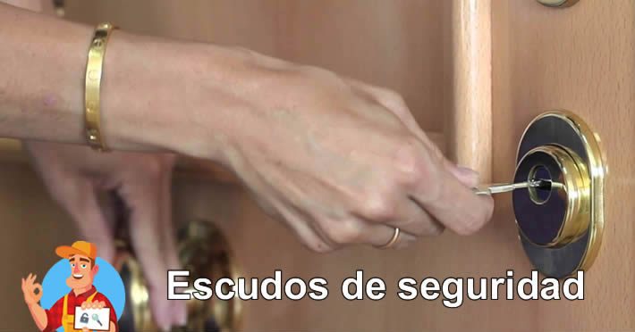 escudos-de-seguridad-la-linea